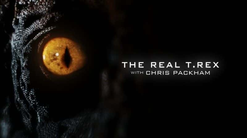 ¼Ƭİ/The Real T-Rex-Ļ