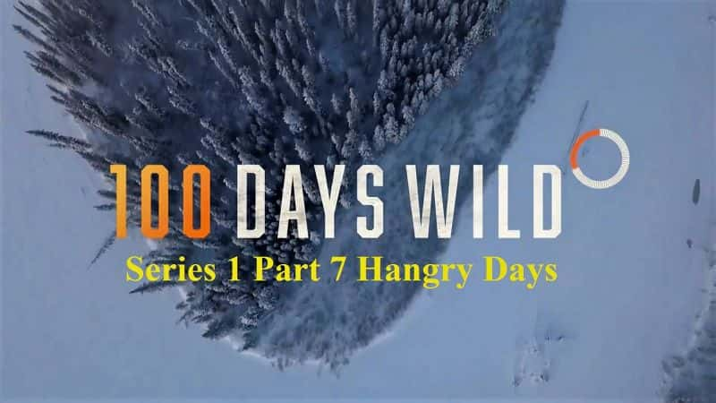 ¼Ƭ100Ұϵ17֣/100 Days Wild Series 1 Part 7 Hangry Days-Ļ