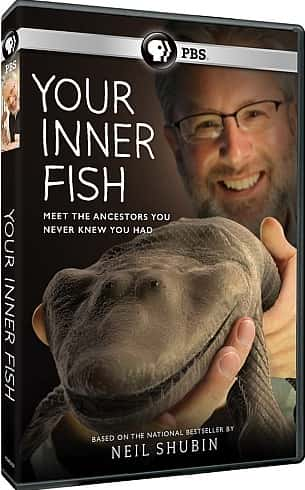 ¼Ƭ/Your Inner Fish-Ļ