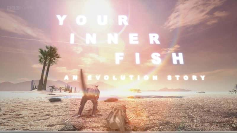 ¼Ƭ㣺һ/Your Inner Fish: An Evolution Story-Ļ