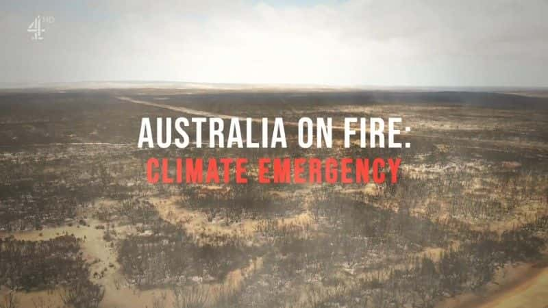 ¼ƬĴǴ/Australia on Fire-Ļ