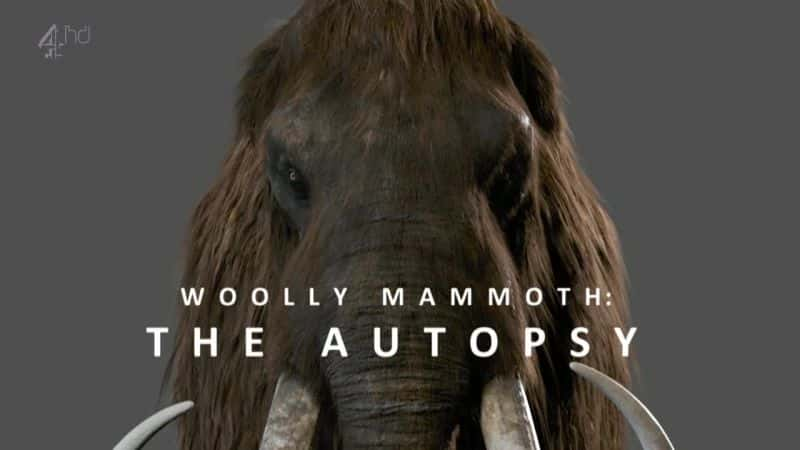 ¼Ƭ󣺽/Woolly Mammoth: The Autopsy-Ļ