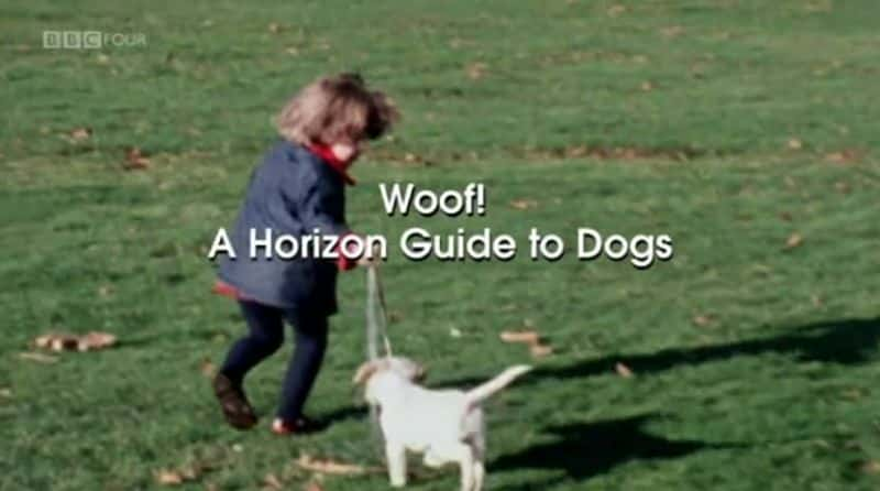 ¼Ƭһڹĵƽָ/Woof a Horizon Guide to Dogs-Ļ