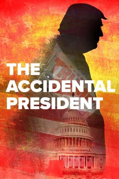 ¼Ƭͳ/The Accidental President-Ļ