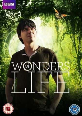 ¼Ƭ漣/Wonders of Life-Ļ