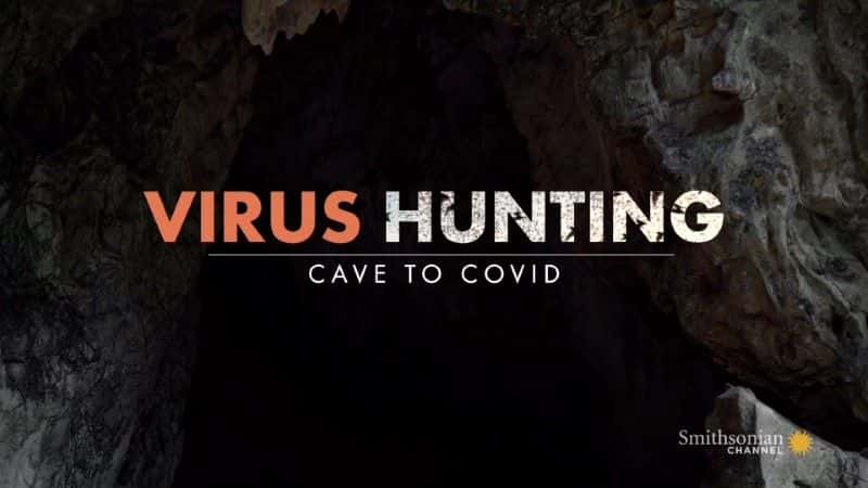 ¼ƬˣӶѨ¹ڲ/Virus Hunting: Cave to Covid-Ļ