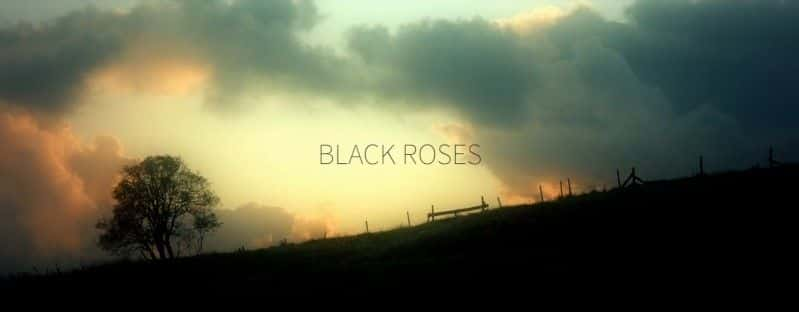 ¼Ƭõ壺ơ˹֮/Black Roses: The Killing of Sophie Lancaster-Ļ