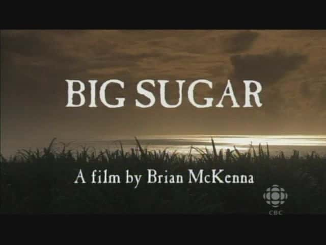 ¼Ƭ޴/Big Sugar-Ļ