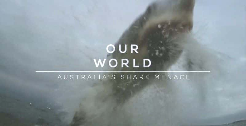 ¼ƬĴǵв/Australia's Shark Menace-Ļ