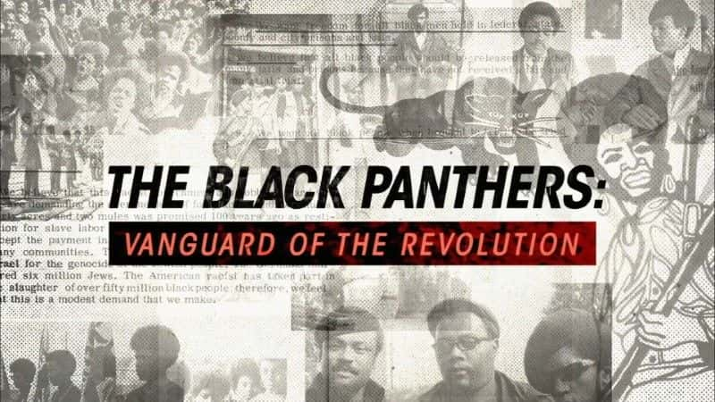 ¼Ƭڱ/The Black Panthers-Ļ