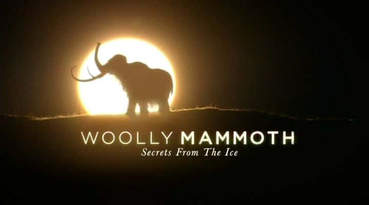 ¼Ƭë󣺱ѩе/Woolly Mammoth: Secrets from the Ice-Ļ