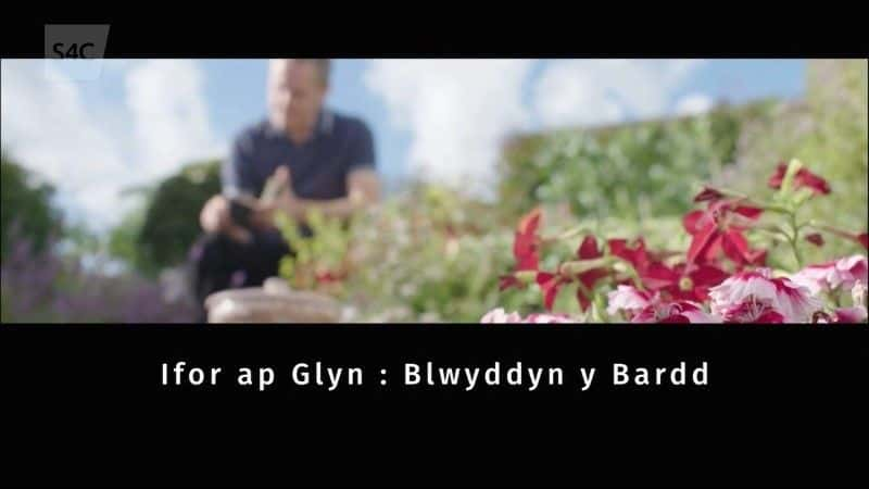 ¼Ƭʫ֮/Blwyddyn y Bardd-Ļ