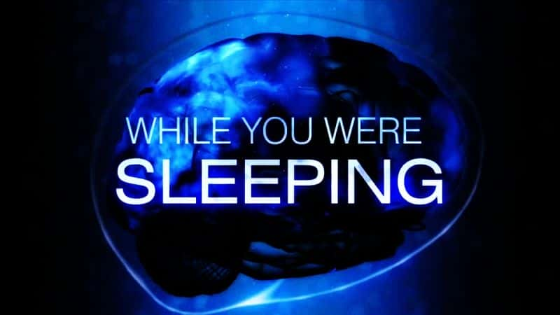 ¼Ƭ˯ʱ/While You Were Sleeping-Ļ