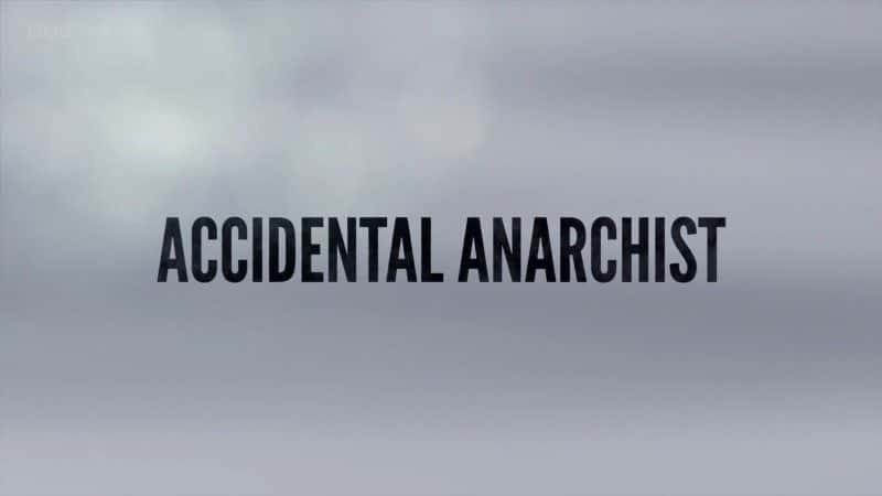 ¼Ƭ/Accidental Anarchist-Ļ