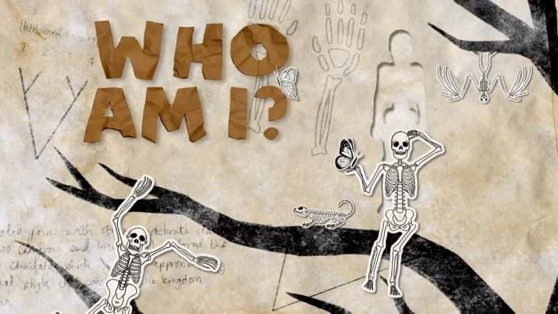 ¼Ƭ˭/Who Am I-Ļ