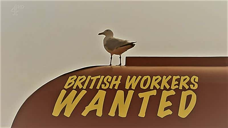 ¼ƬӢҪ/British Workers Wanted-Ļ