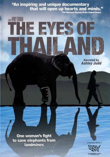 ¼Ƭ̩֮/The Eyes of Thailand-Ļ