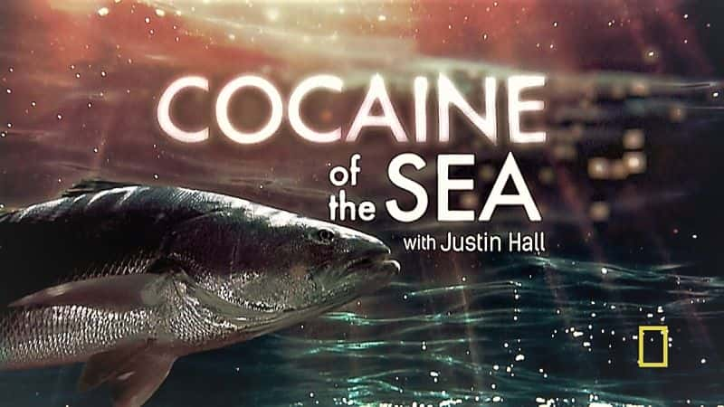 ¼Ƭ̽ռңɿ/Explorer: Cocaine of the Sea-Ļ