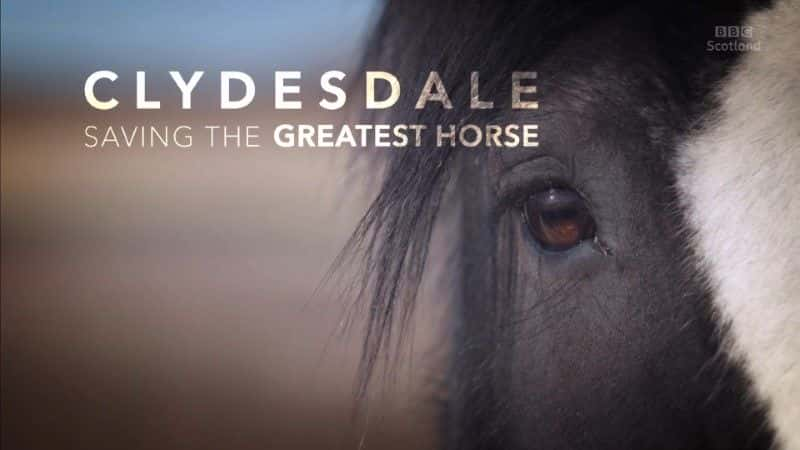 ¼Ƭ˹ΰ/Clydesdale: Saving the Greatest Horse-Ļ