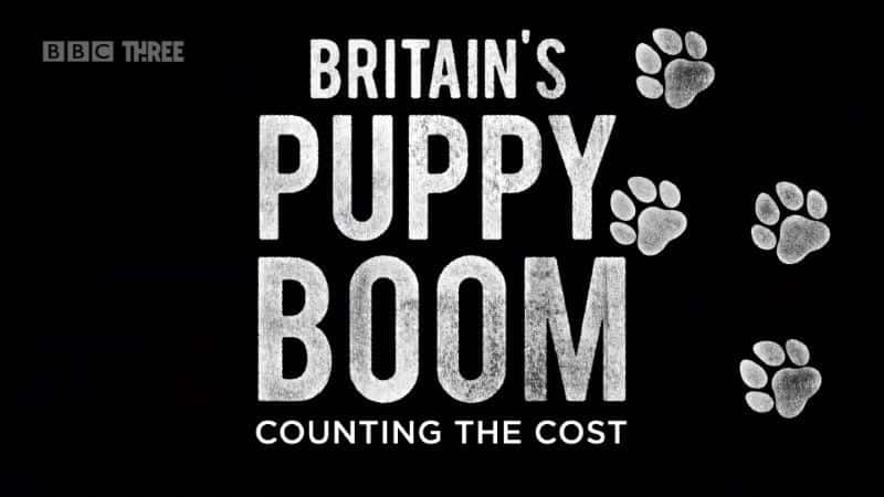 ¼ƬӢСֳ/Britain's Puppy Boom-Ļ