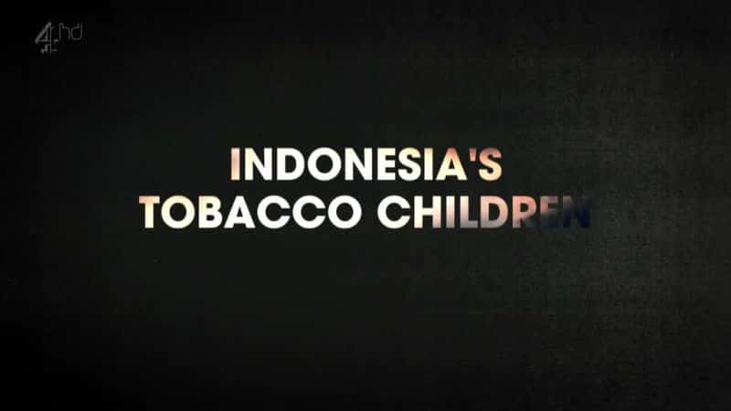 ¼Ƭӡǵ̲ݶͯ/Indonesia's Tobacco Children-Ļ