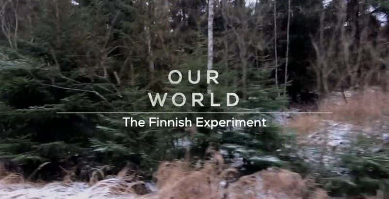 ¼Ƭʵ/The Finnish Experiment-Ļ