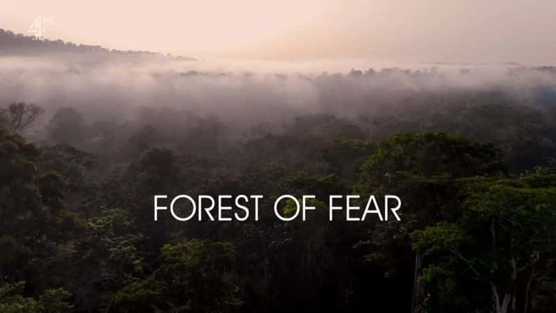 ¼Ƭ־֮ɭ/Forest of Fear-Ļ