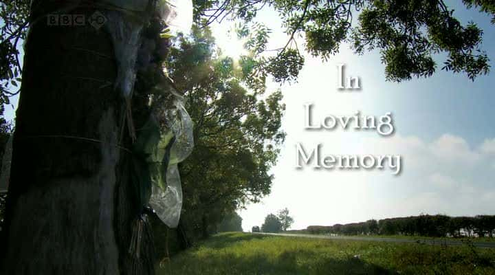 ¼Ƭ/In Loving Memory-Ļ