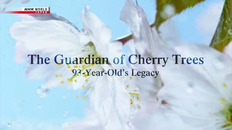 ¼Ƭӣػ/The Guardian of Cherry Trees-Ļ