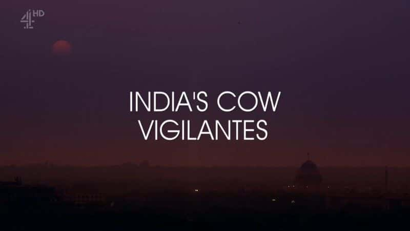 ¼Ƭӡȵţ/India's Cow Vigilantes-Ļ