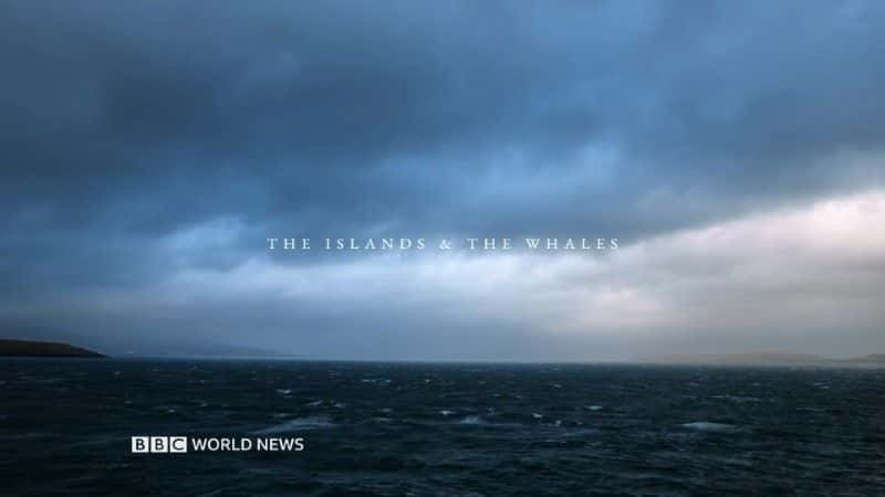 ¼Ƭ;/The Islands and the Whales-Ļ