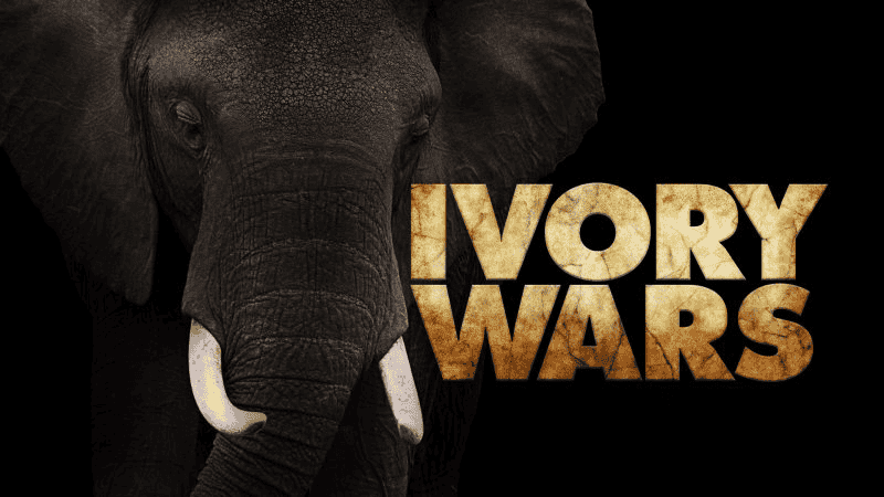 ¼Ƭս/Ivory Wars-Ļ