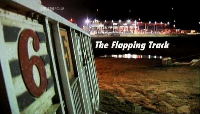 ¼Ƭ/The Flapping Track-Ļ