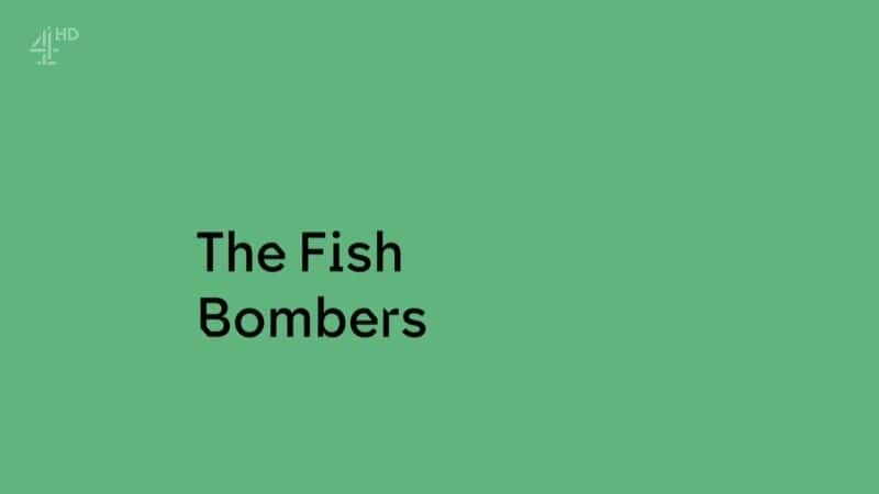 ¼Ƭը/The Fish Bombers-Ļ