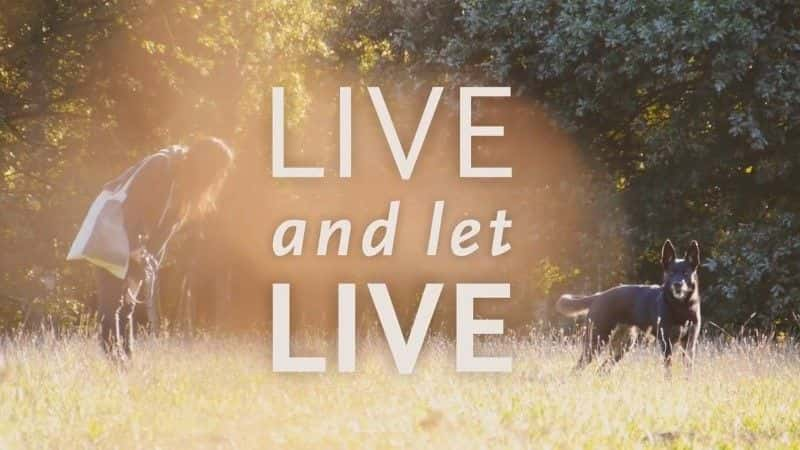 ¼Ƭƽ/Live and Let Live-Ļ