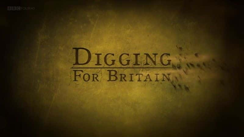 ¼ƬھӢ弾/Digging for Britain: Series 5-Ļ