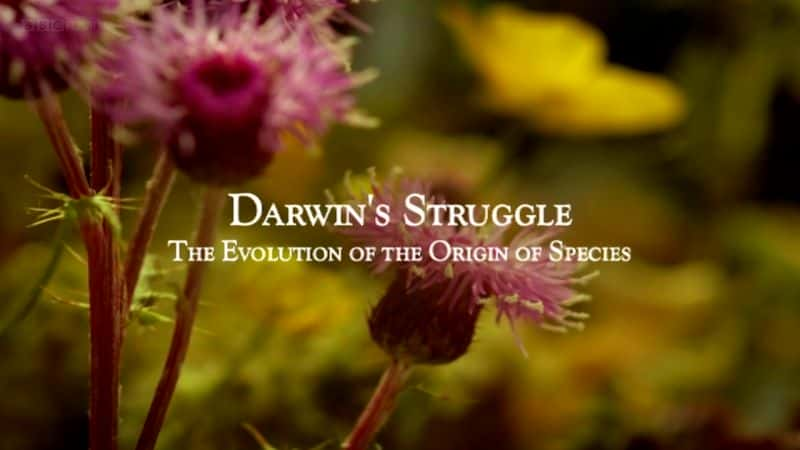 ¼ƬĵĶԴĽ/Darwin's Struggle: The Evolution of the Origin of Species-Ļ