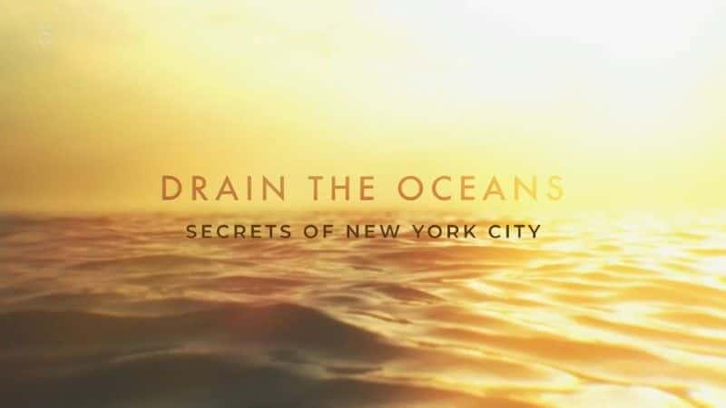 ¼ƬˮŦԼ/Draining New York-Ļ