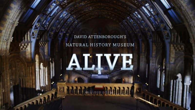 ¼ƬǱȻʷݻ/David Attenboroughs Natural History Museum Alive-Ļ