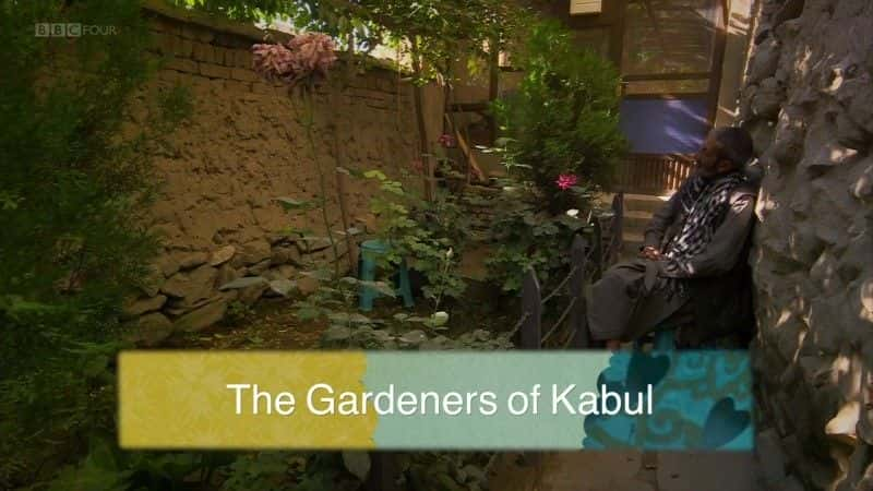 ¼Ƭ԰/The Gardeners of Kabul-Ļ