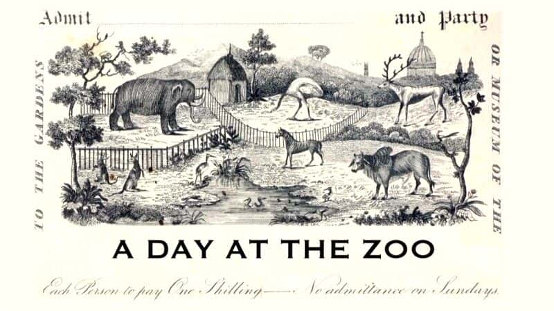 ¼Ƭ԰һ/A Day at the Zoo-Ļ