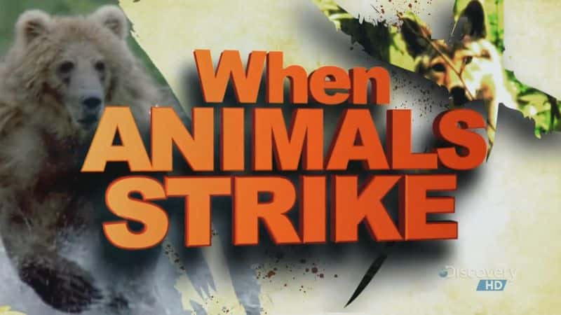 ¼ƬϮʱ/When Animals Strike-Ļ