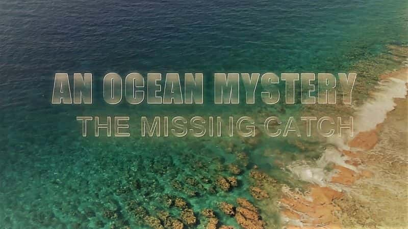 ¼Ƭ֮գʧٵĲ/An Ocean Mystery: The Missing Catch-Ļ