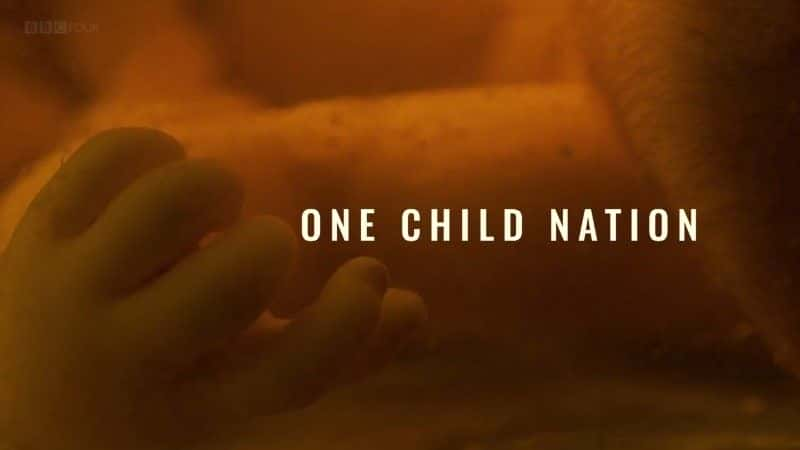 ¼ƬŮ/One Child Nation-Ļ