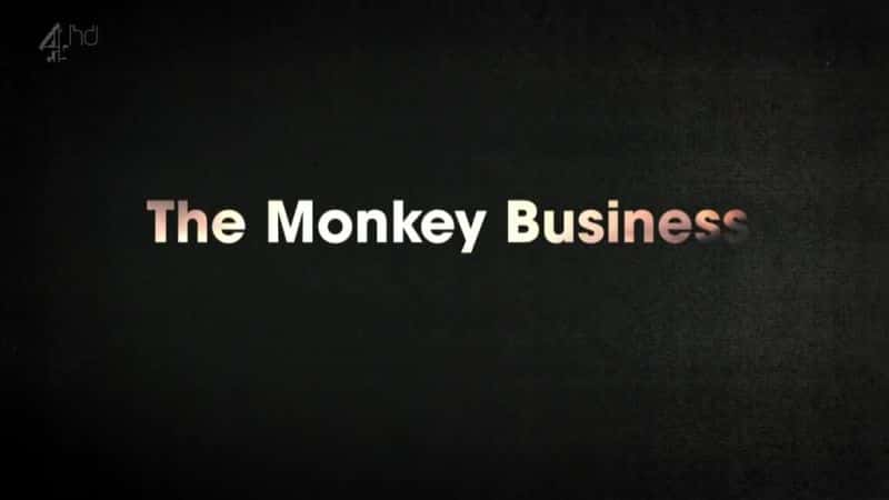 ¼Ƭӵ/The Monkey Business-Ļ