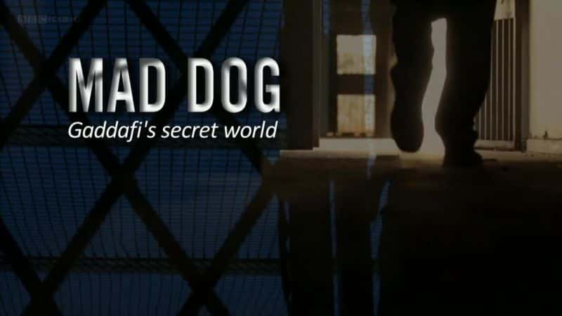 ¼Ƭ蹷Ƶ/Mad Dog: Gaddafi's Secret World-Ļ