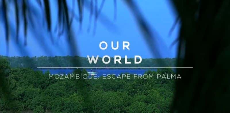 ¼ƬĪɣȿˣ/Mozambique: Escape from Palma-Ļ