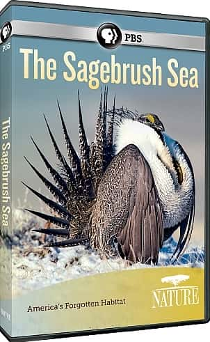 ¼ƬҰľ/The Sagebrush Sea-Ļ