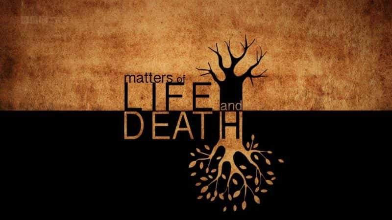 ¼Ƭ֮£ѧϰ/Matters of Life and Death: Learning Zone-Ļ