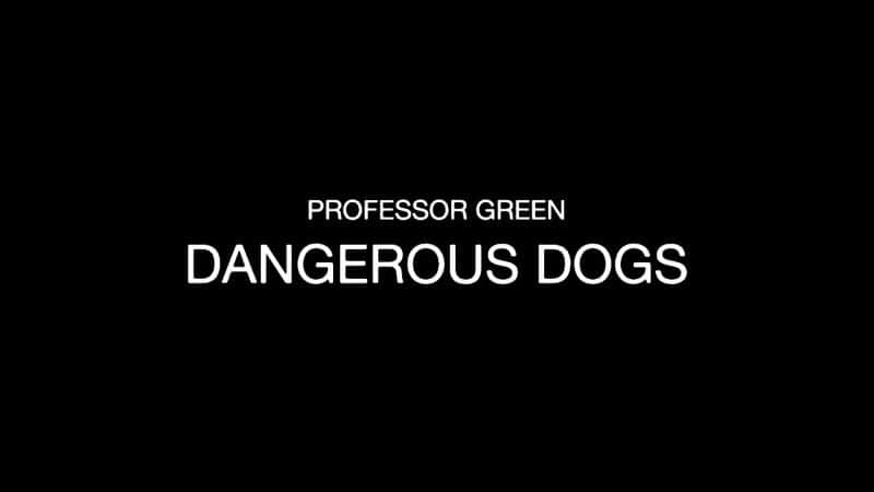 ¼ƬֽڣΣյĹ/Professor Green: Dangerous Dogs-Ļ